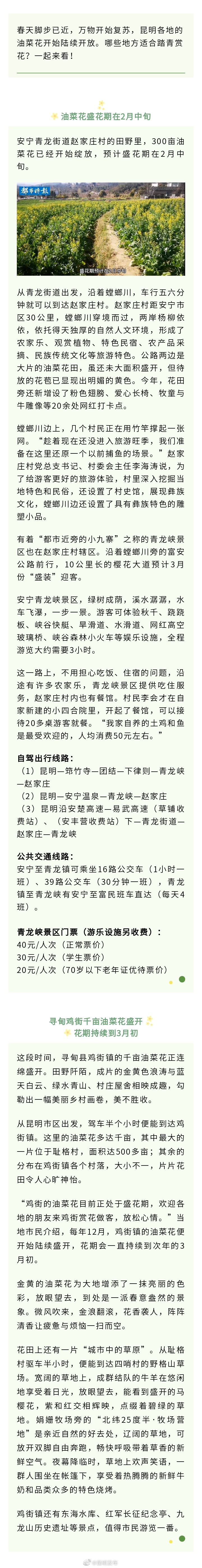 到油菜花开的地方 与春天来一场双向奔赴