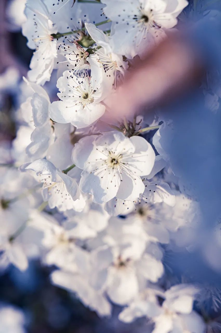 一部手机游云南