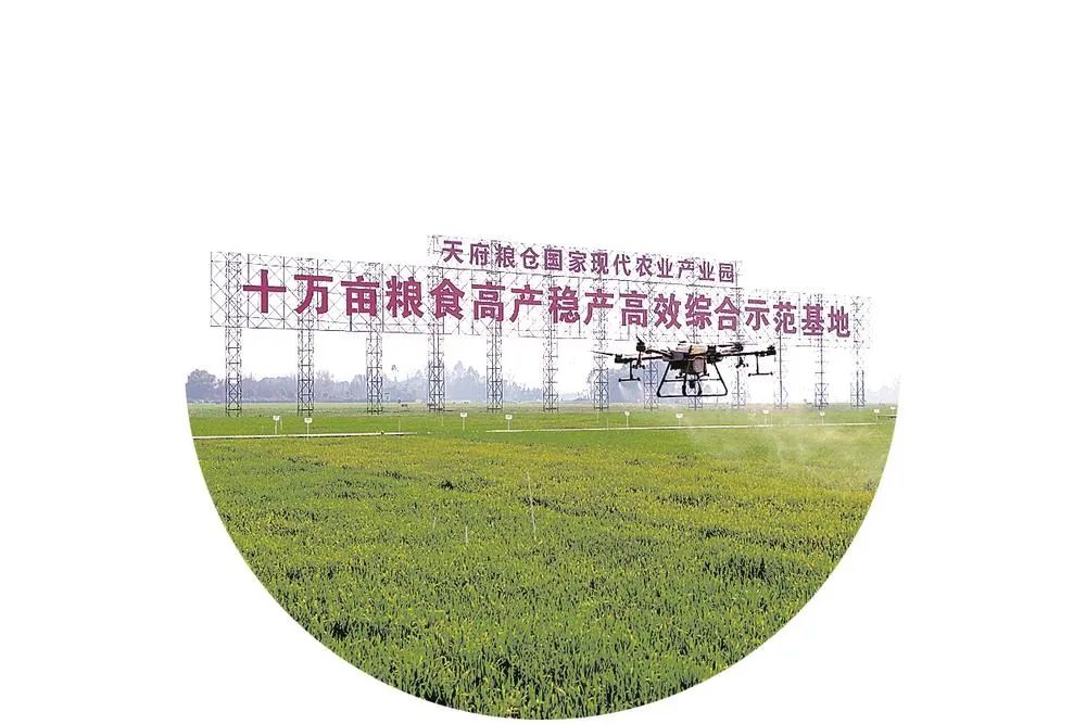 昆明市农业农村局