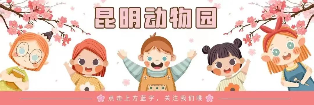昆明动物园
