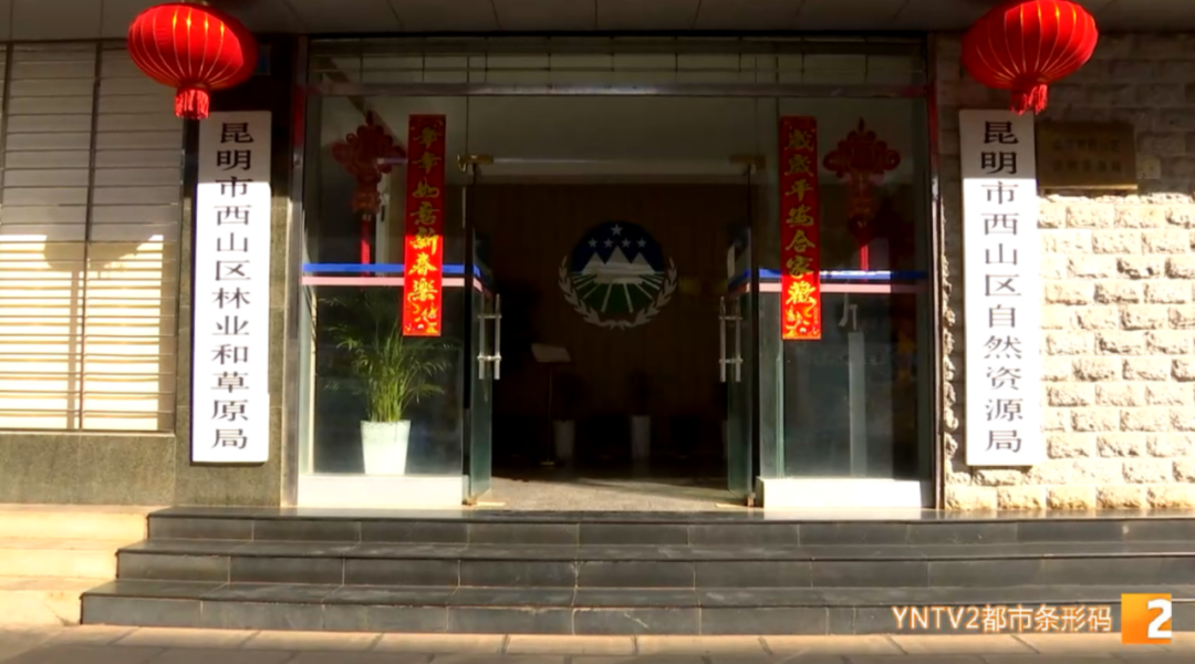 掌上春城