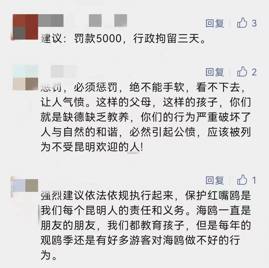 掌上春城
