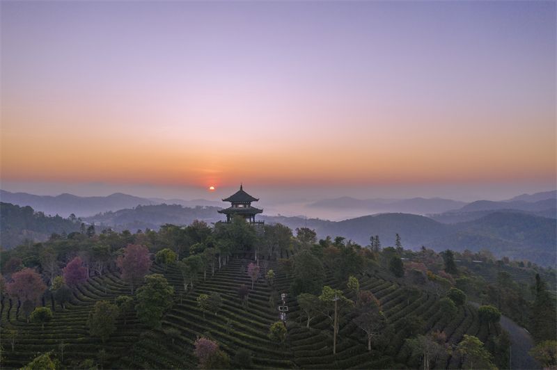 云南省文化和旅游厅
