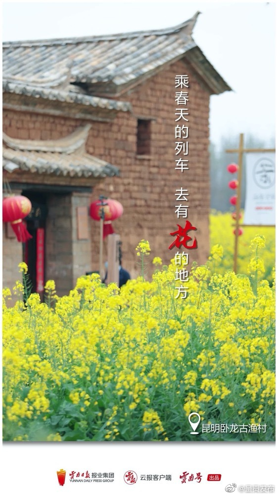 呈贡发布