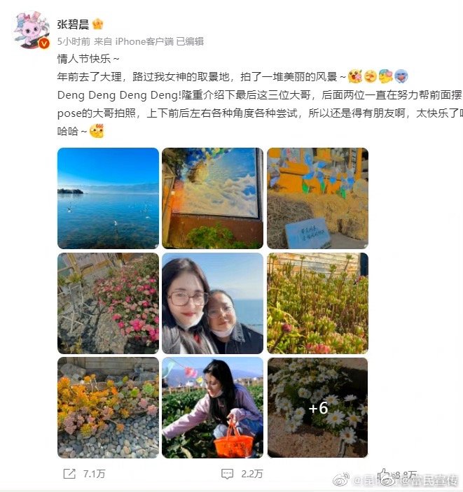 张碧晨去有风的地方