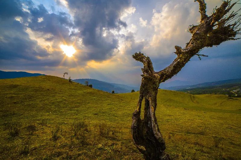 云南省文化和旅游厅