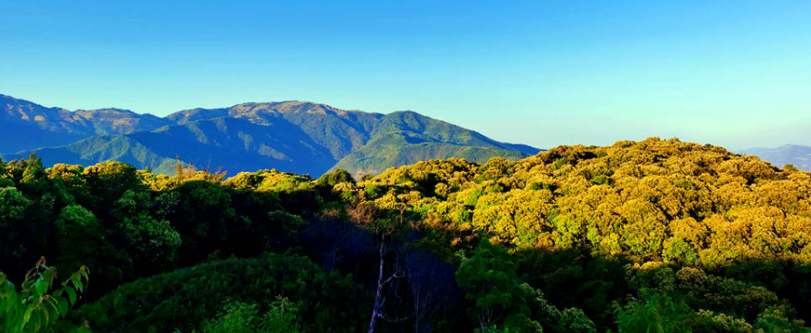 美丽云南微科普