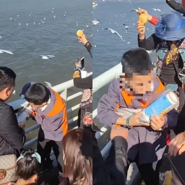 云南信息报