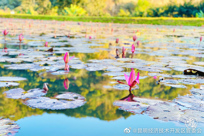 昆明经济技术开发区管委会