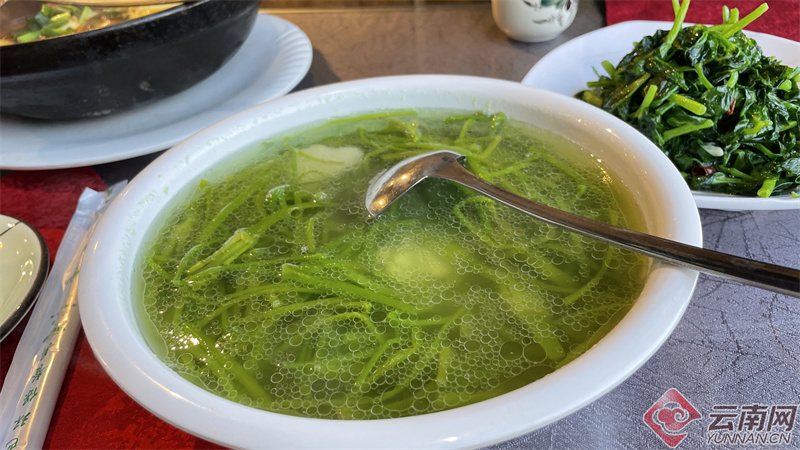 云南省文化和旅游厅