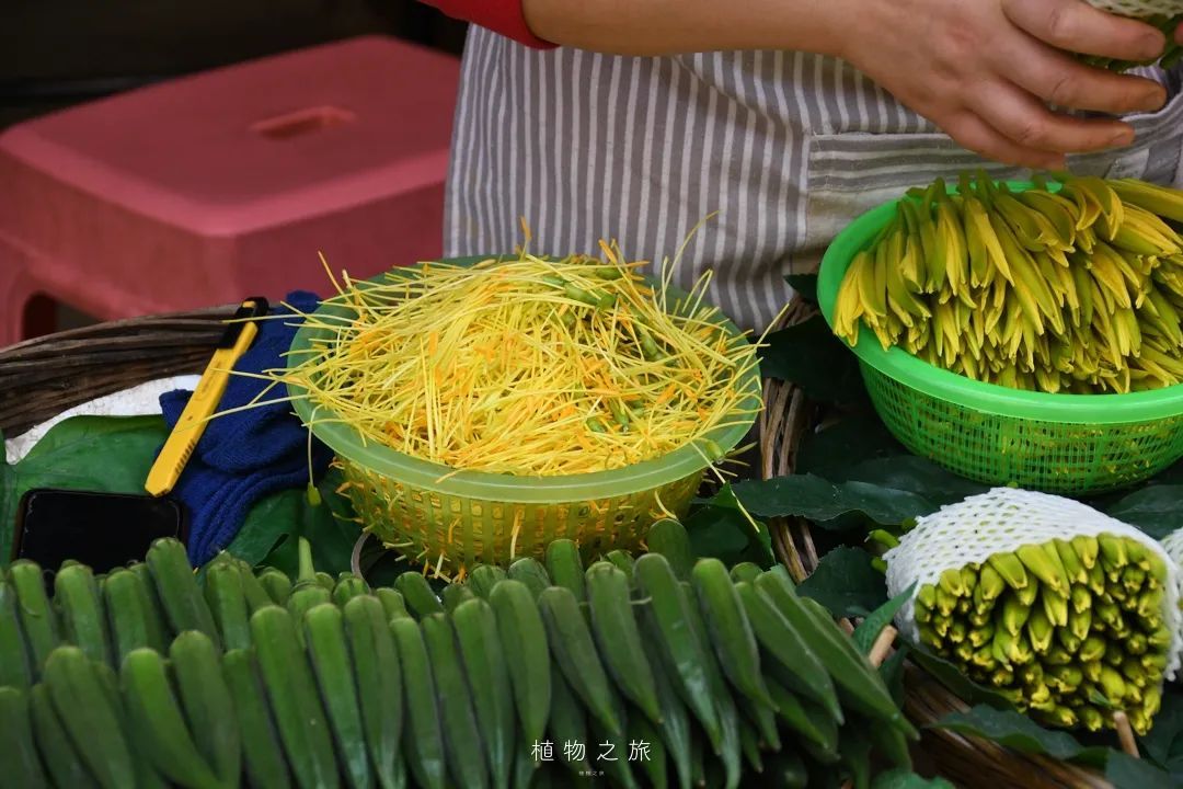 云南省文化和旅游厅