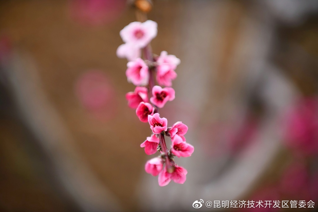 昆明经济技术开发区管委会