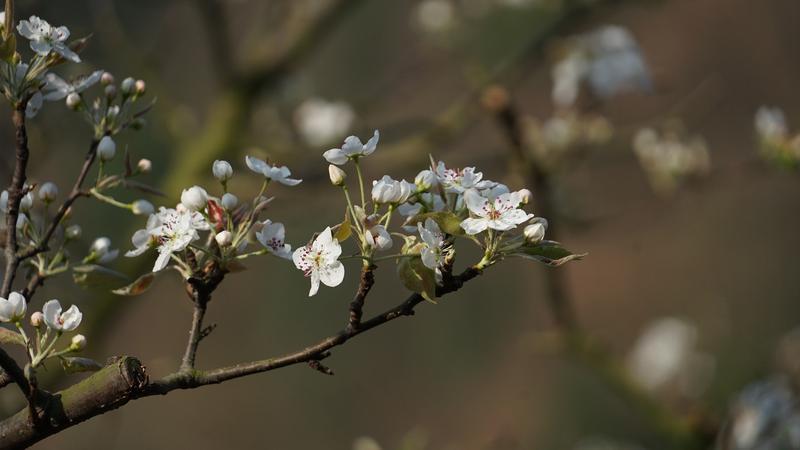 云南省文化和旅游厅