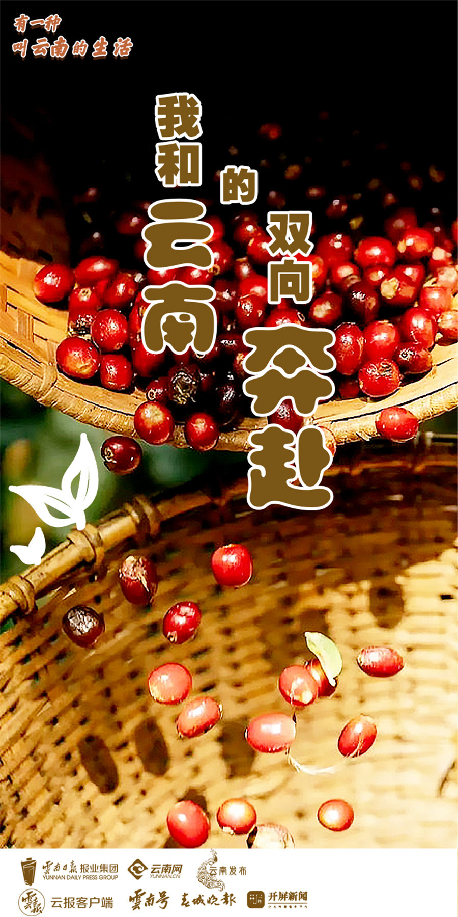 云南省文化和旅游厅