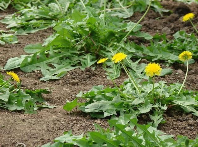 云南省文化和旅游厅