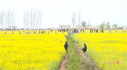 昆明信息港/cnkmxxg