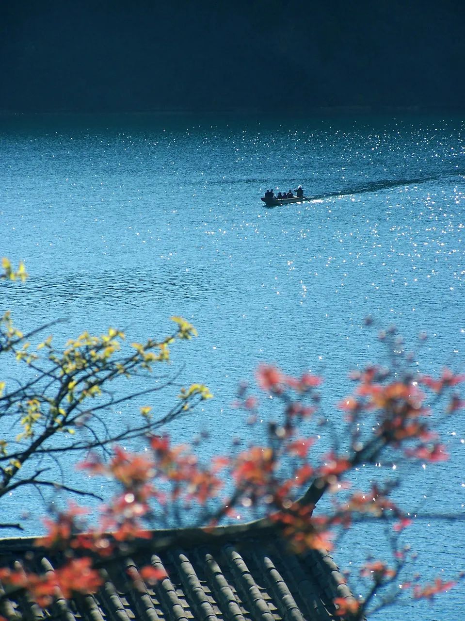 一部手机游云南