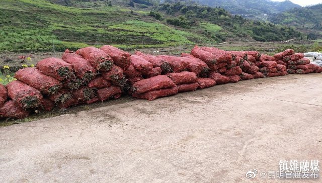 “昆明官渡发布”微博
