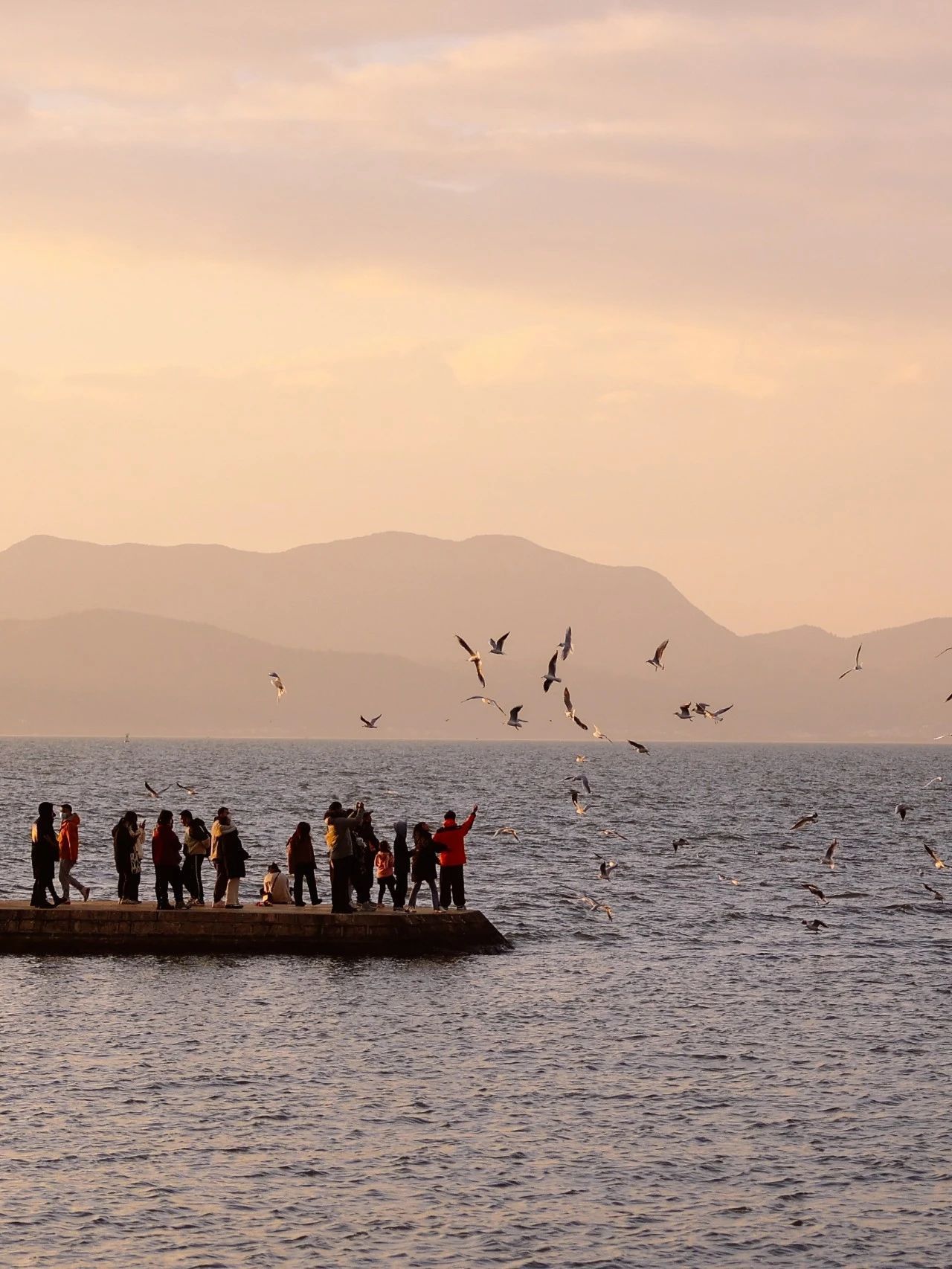 云南省文化和旅游厅