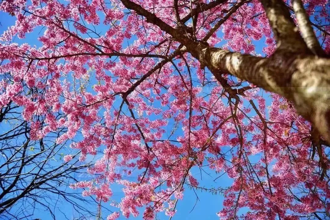 昆明市妇幼保健院