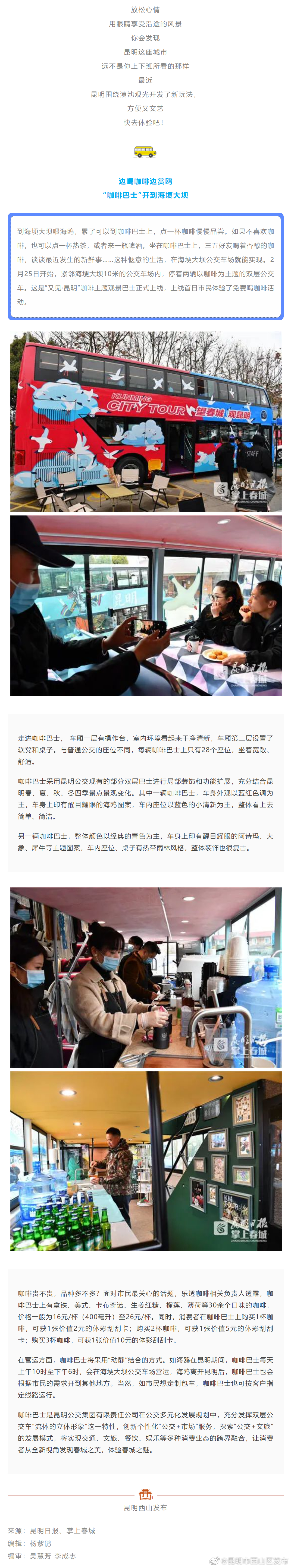 喝着咖啡看海鸥……滇池新玩法，快来解锁