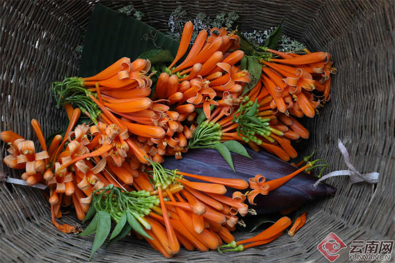 云南省文化和旅游厅