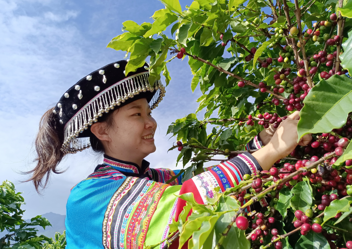 云南省文化和旅游厅