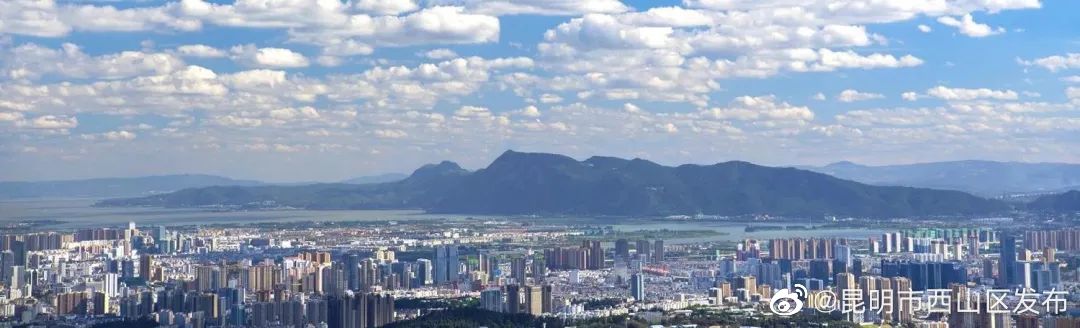 昆明市西山区发布