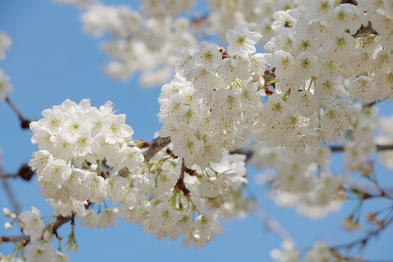 云南省文化和旅游厅