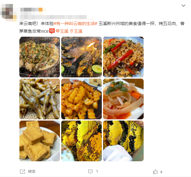 云南省文化和旅游厅