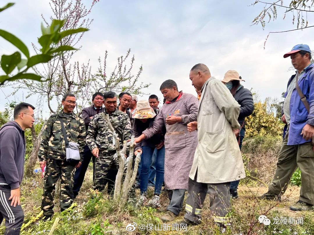 龙陵：农业专家“传经送宝”为果农“答疑解惑”