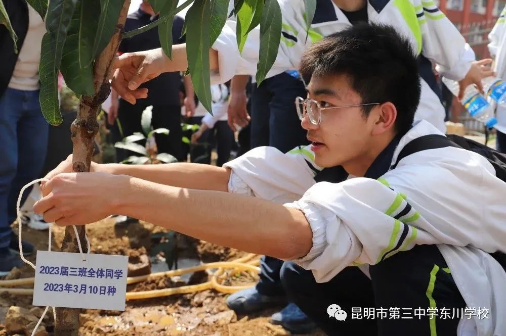 东川教育
