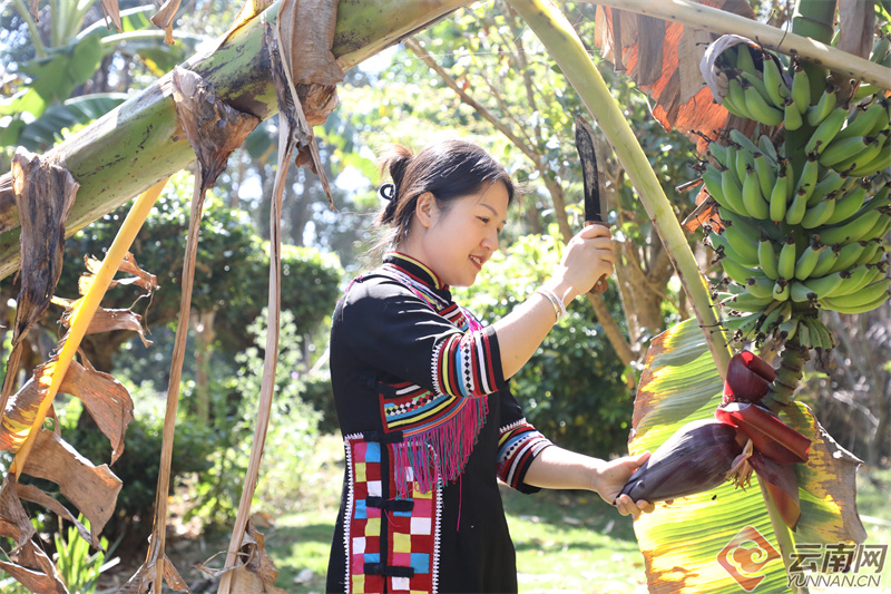 云南省文化和旅游厅