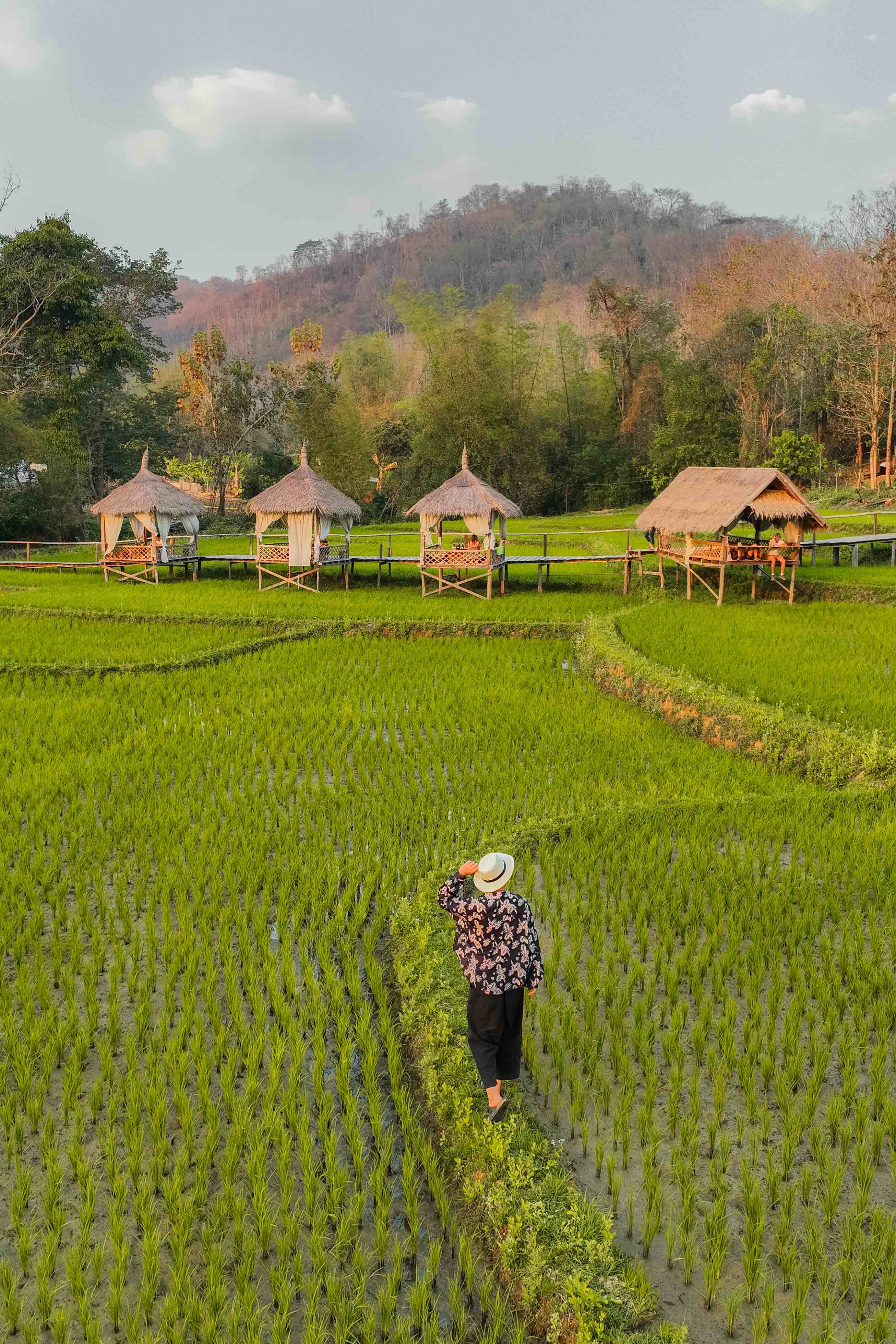 云南省文化和旅游厅