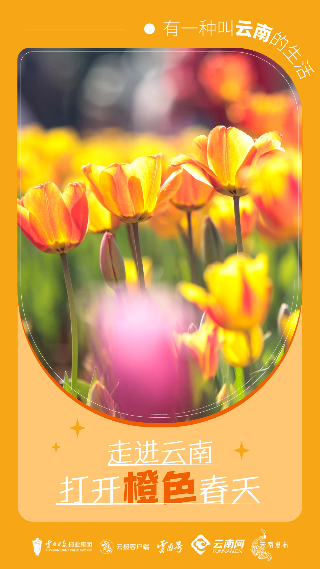 云南省文化和旅游厅