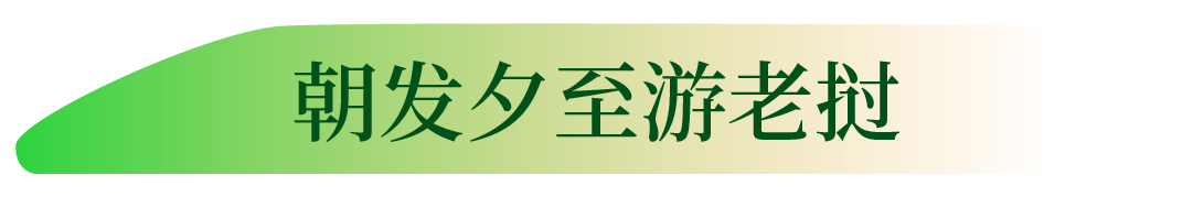 云南省文化和旅游厅
