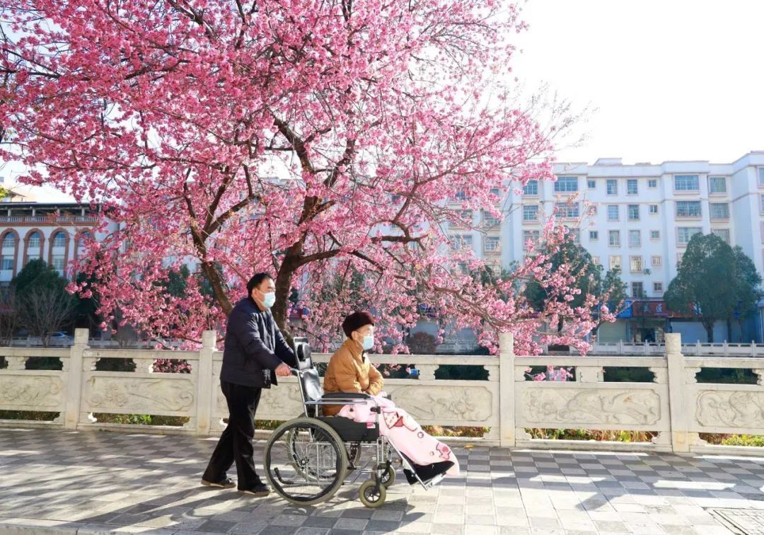云南省文化和旅游厅