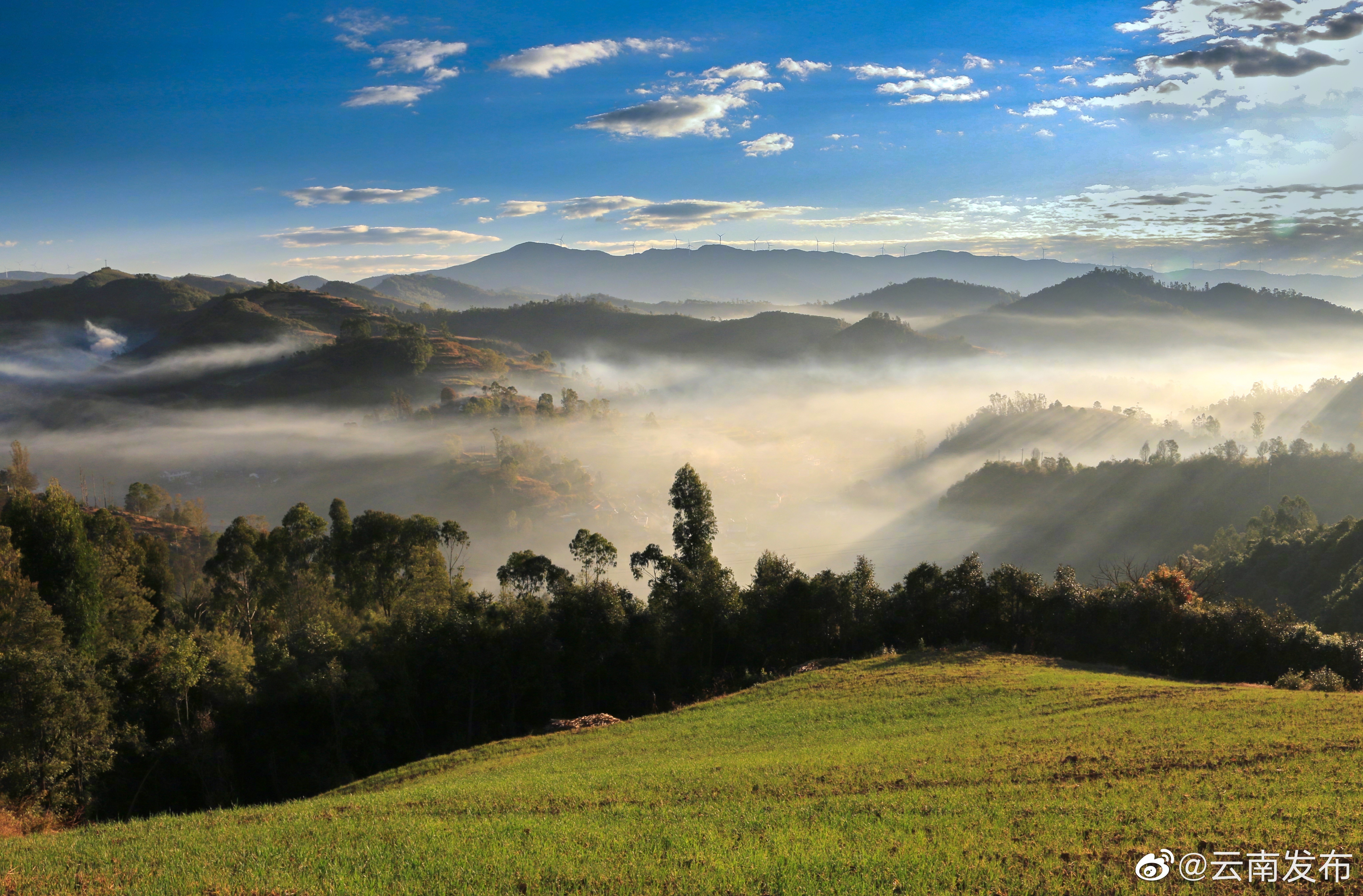 “云南发布”微博