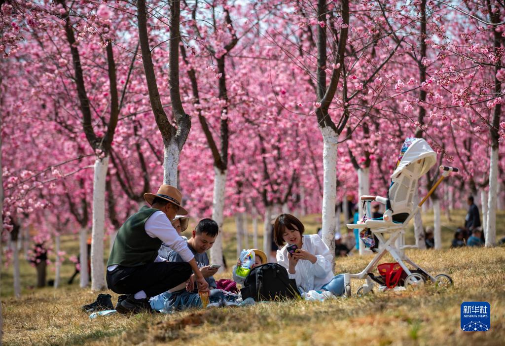云南省文化和旅游厅