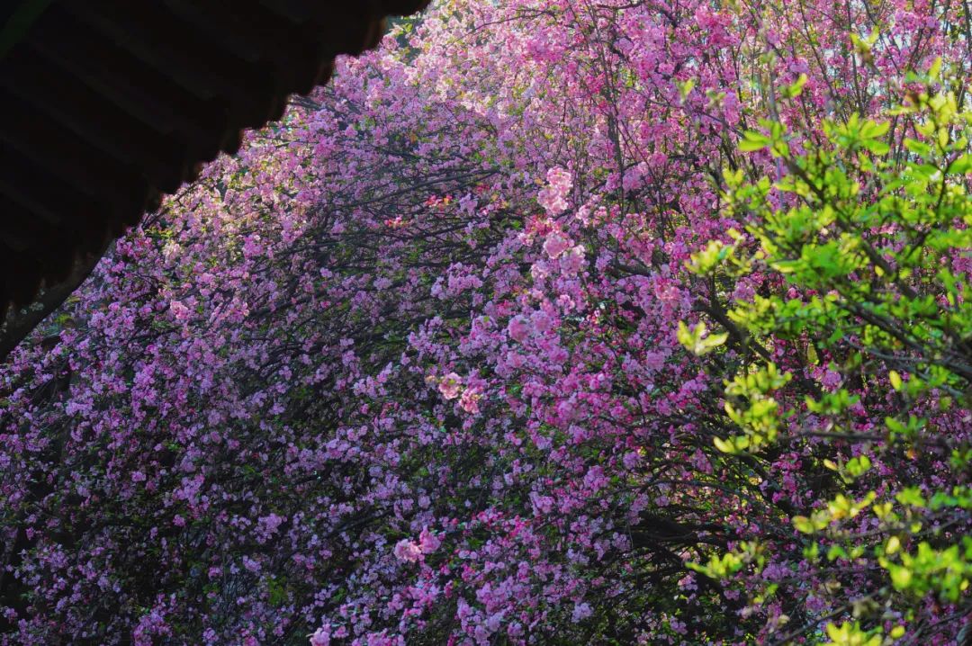 昆明市金殿名胜区