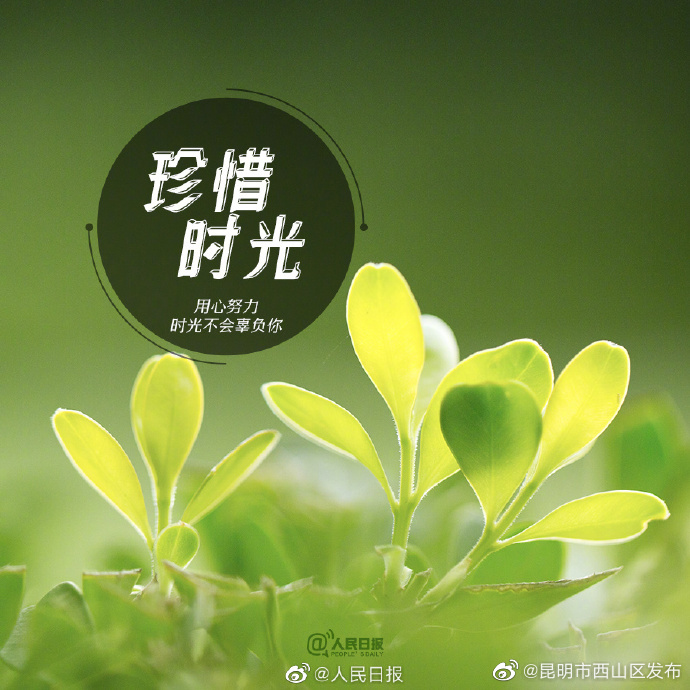 昆明市西山区发布