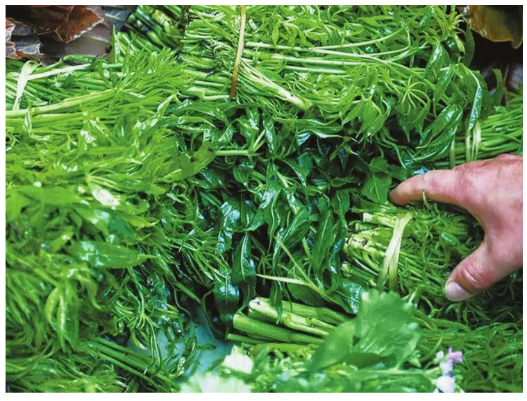 云南省文化和旅游厅