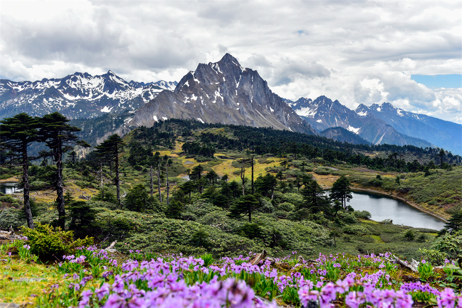 云南省文化和旅游厅