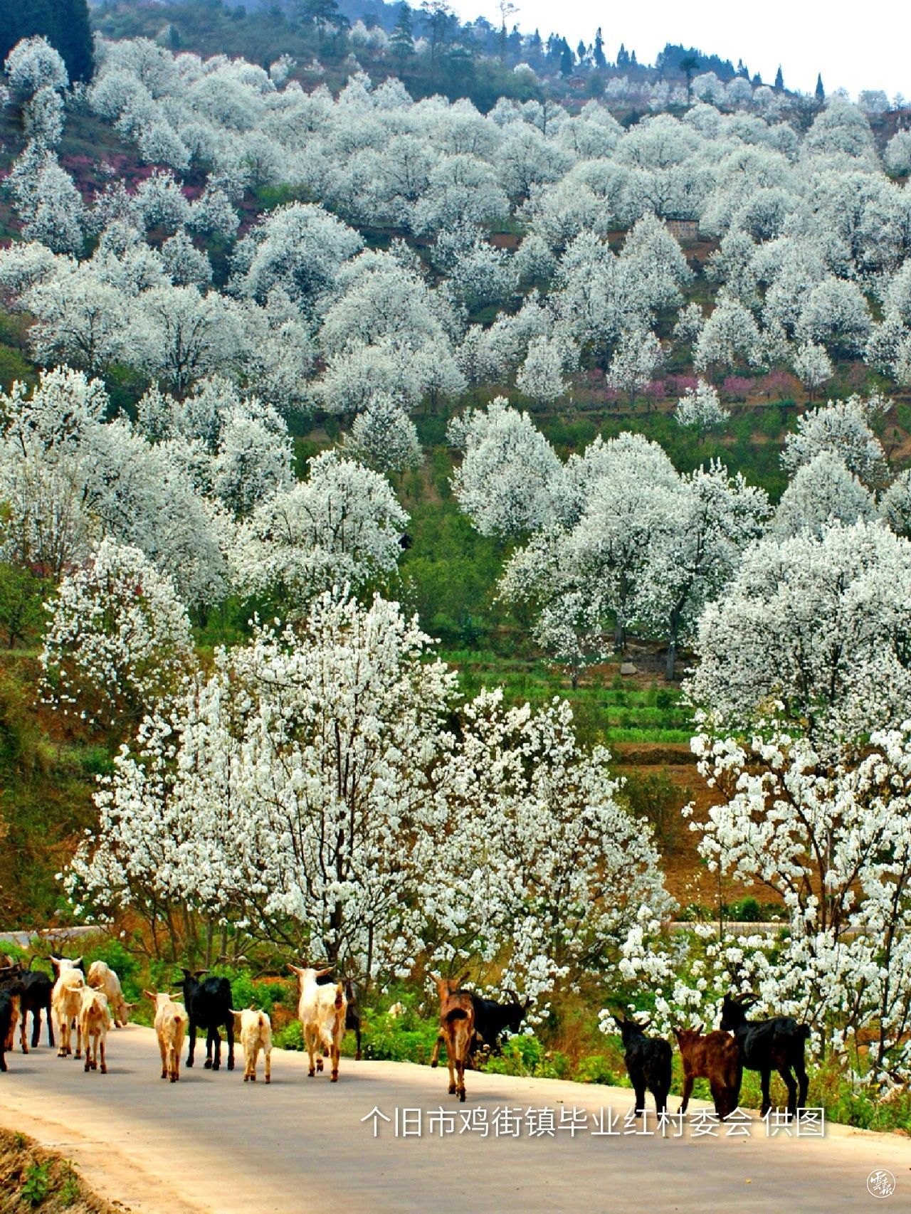 云南省文化和旅游厅