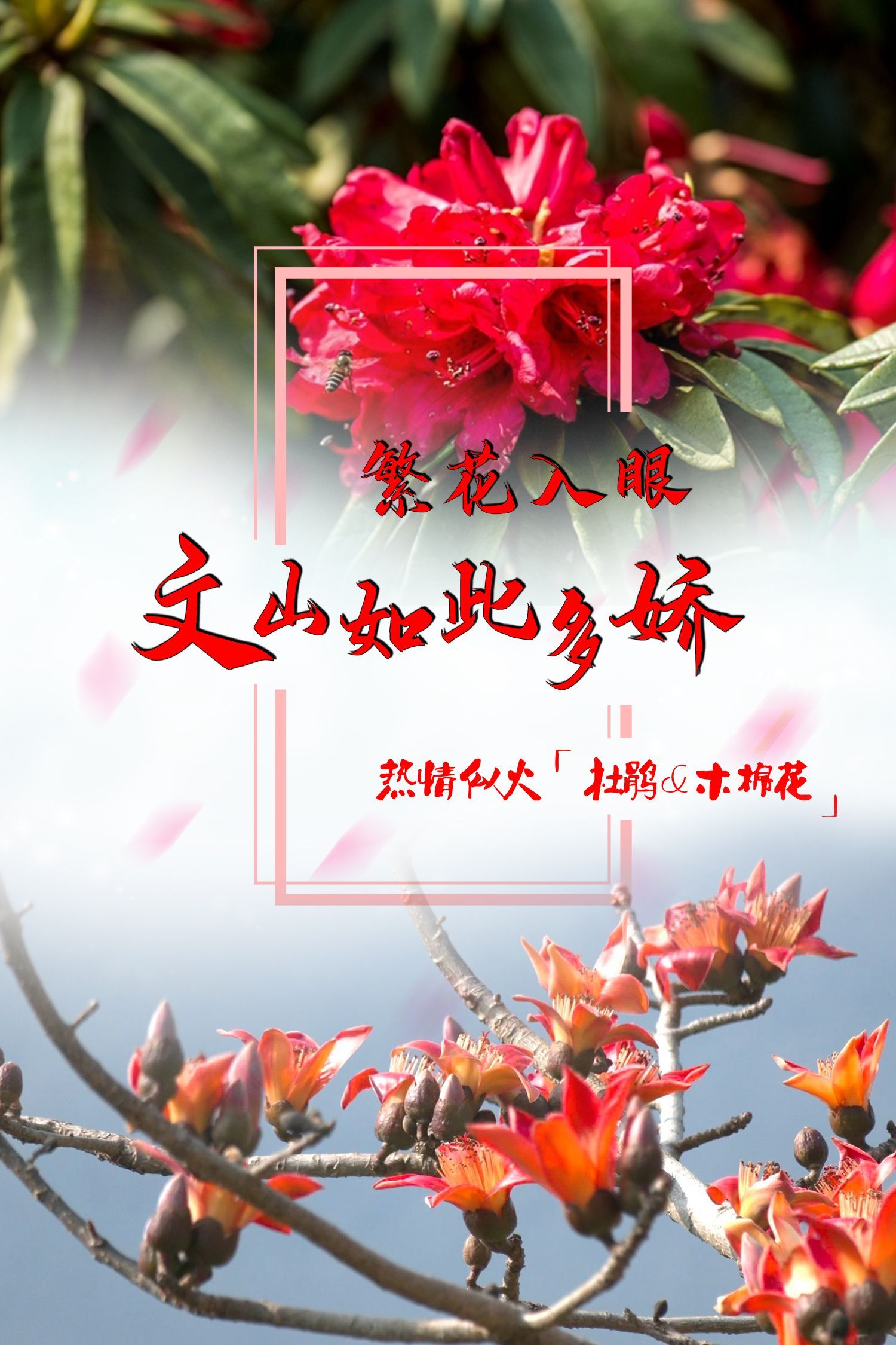 云南省文化和旅游厅