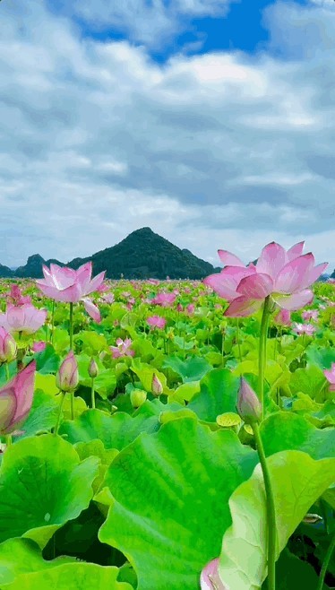 云南省文化和旅游厅