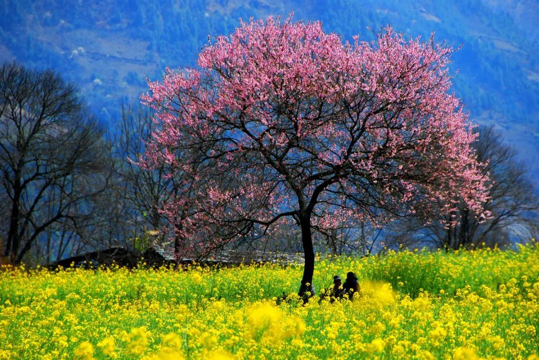 云南省文化和旅游厅