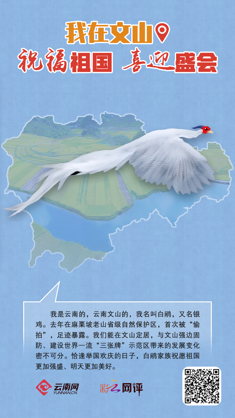 云南省文化和旅游厅