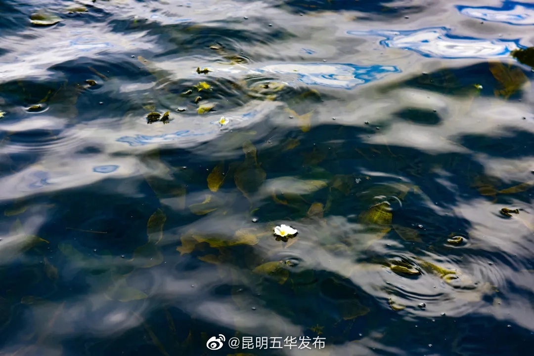 昆明五华发布