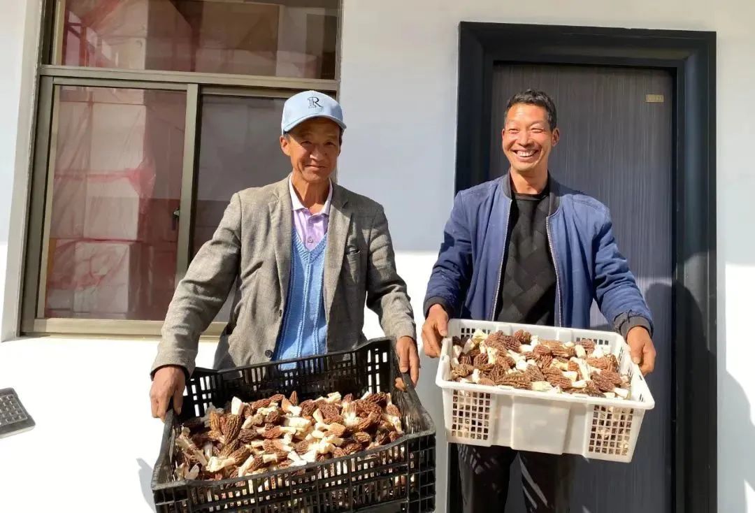 昆明市农业农村局